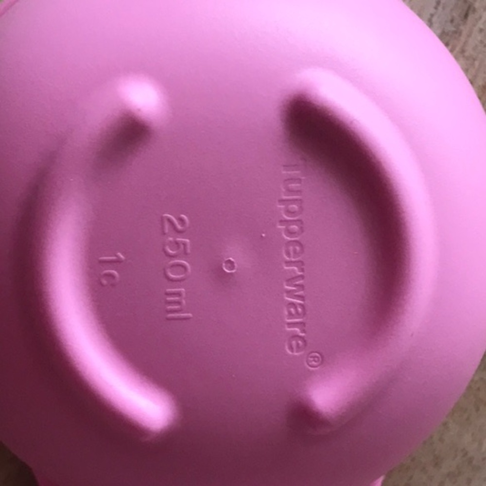 Tupperware Blossom Condiment Set - Picture 5 of 6